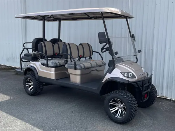 2021 ADVANCED EV AEV 4+