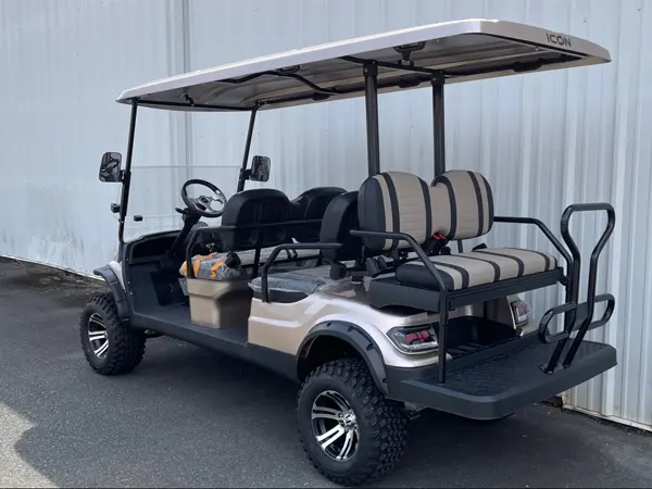 2021 ADVANCED EV AEV 4+