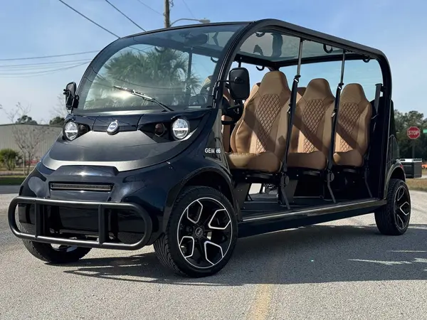 Used 2020 Gem Golf Cart E6 All Electric For Sale