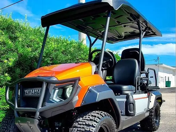 2021 YAMAHA UMAX